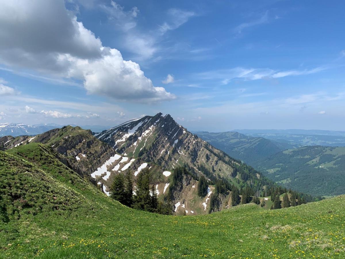 Staufen Herz Oberstaufen Exterior photo